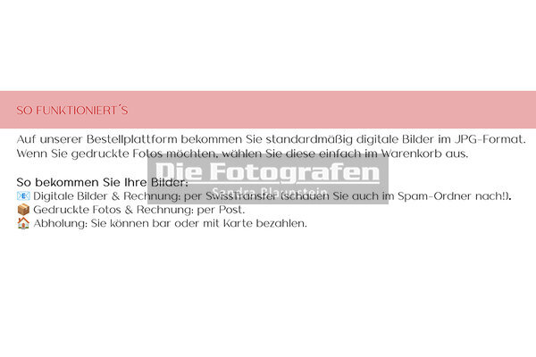 DieFotografen_0001.jpg