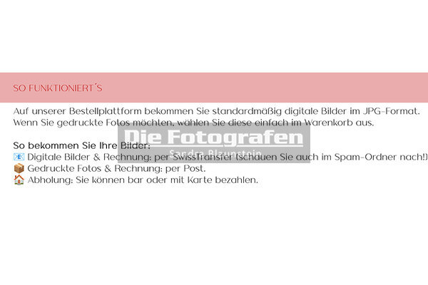 DieFotografen2778.jpg