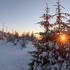 Dreisesselberg_im_Winter3.jpg